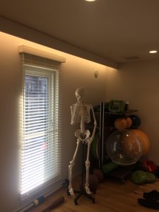 IMG_3523